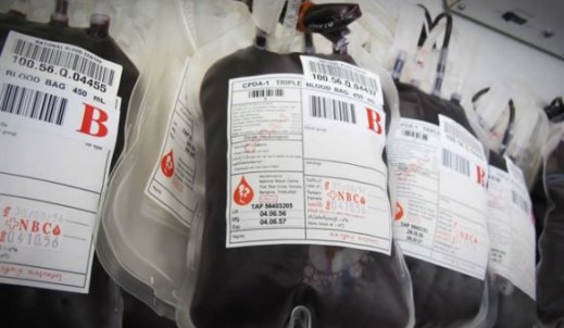 14 czerwca – Światowy Dzień Krwiodawstwa